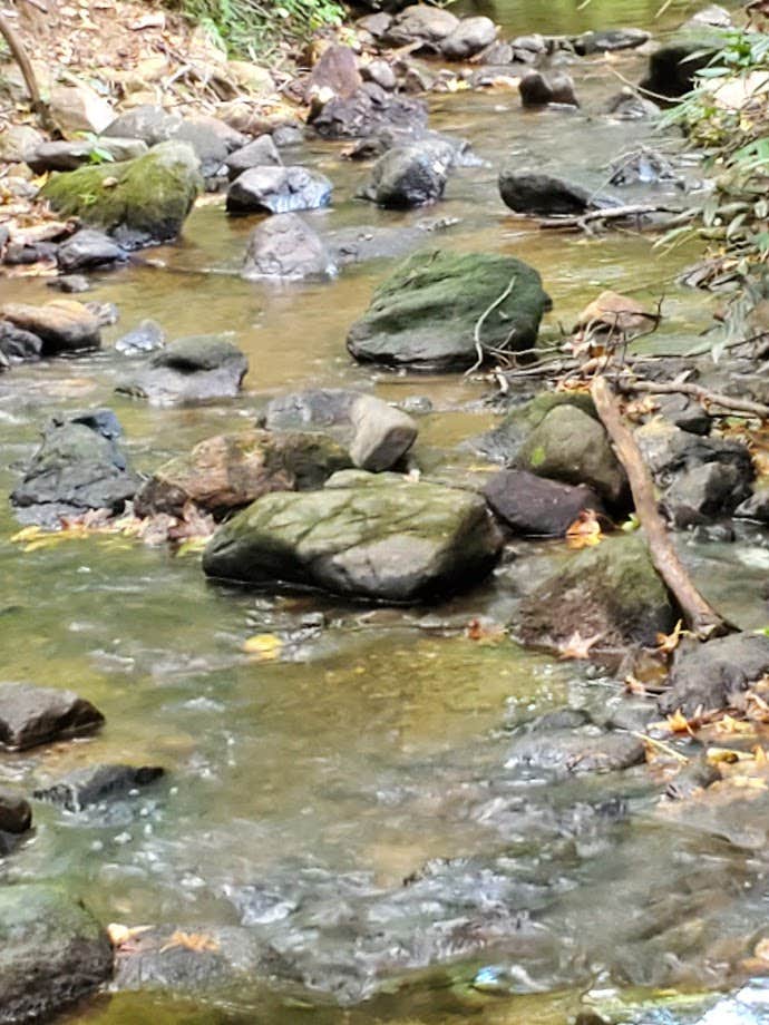 Camper-submitted photo at Paris Mountain State Park Campground near Pickens, SC