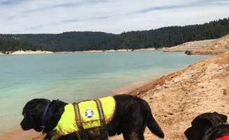 Luis M.'s photo of camping with pets at Dark Day Campground near Plumas National Forest