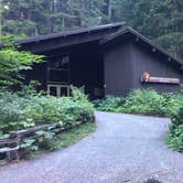 Review photo of Ohanapecosh Campground — Mount Rainier National Park by Susie G., September 10, 2019