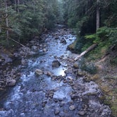 Review photo of Ohanapecosh Campground — Mount Rainier National Park by Susie G., September 10, 2019