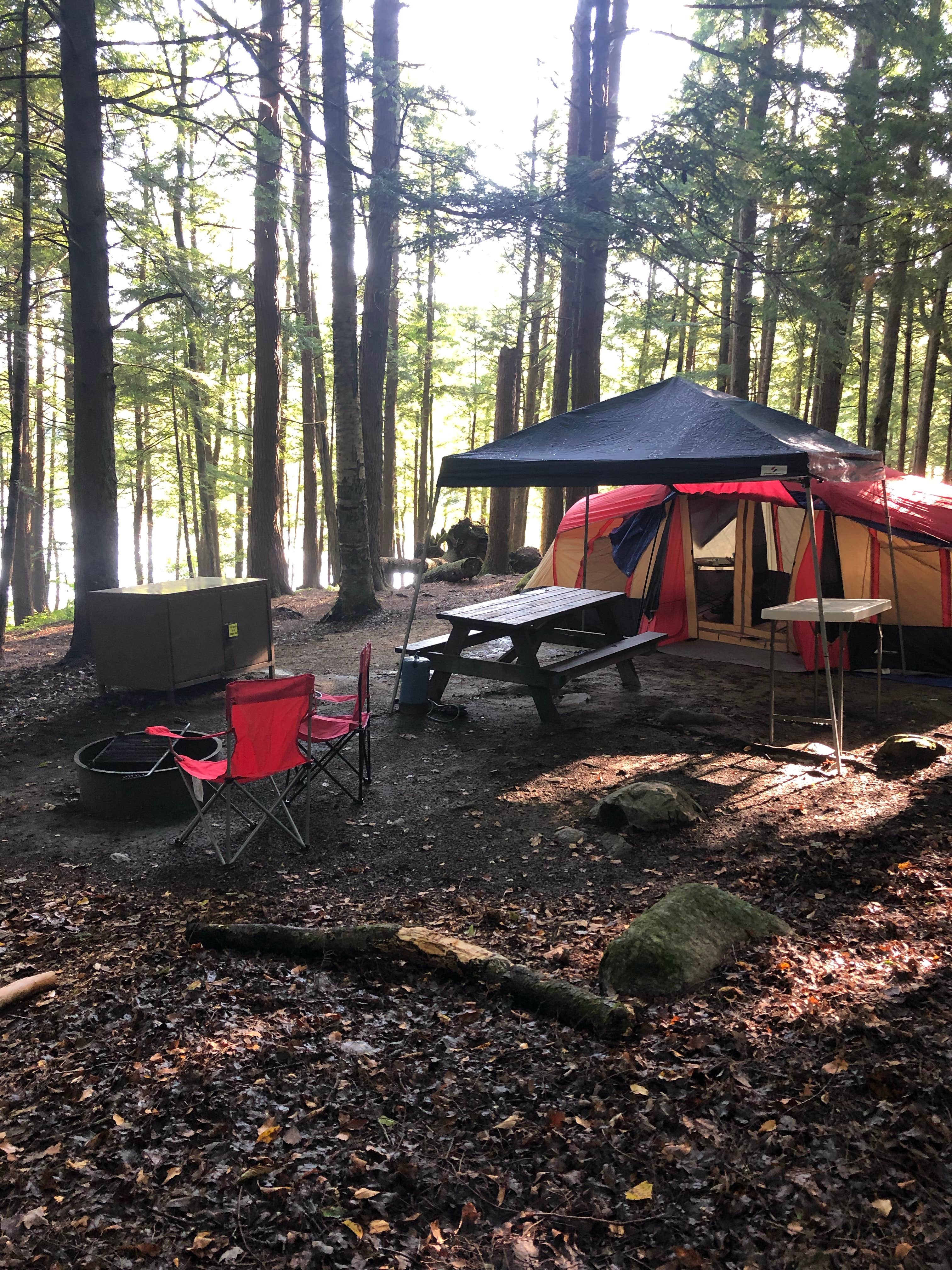 Erin B.'s photo at Clarksburg State Park Campground near Charlemont, MA
