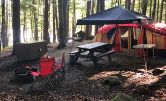 Erin B.'s photo at Clarksburg State Park Campground near Rowe, MA