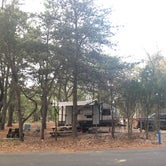 Review photo of Cape Henlopen State Park Campground by Amanda R., September 11, 2019