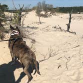 Review photo of Cape Henlopen State Park Campground by Amanda R., September 11, 2019