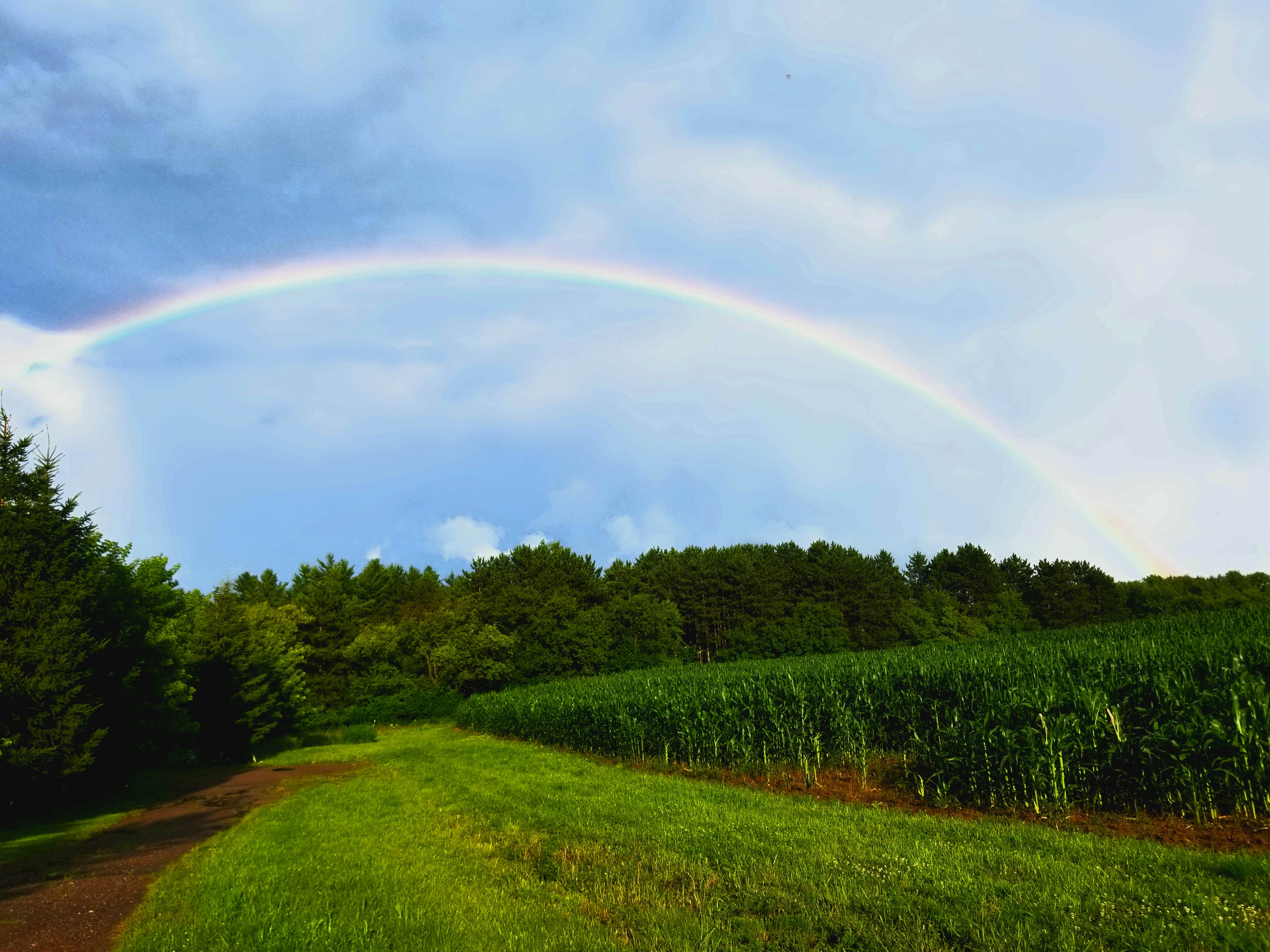 Camping near The Jubilee Homestead: Springvale Campground, Cambridge, Minnesota