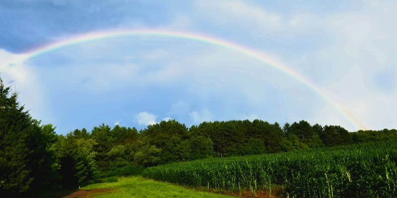 Camper submitted image from Springvale Campground