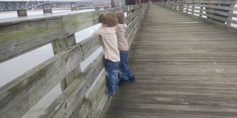 Camper submitted image from TVA-Nature Trail and Recreation Area