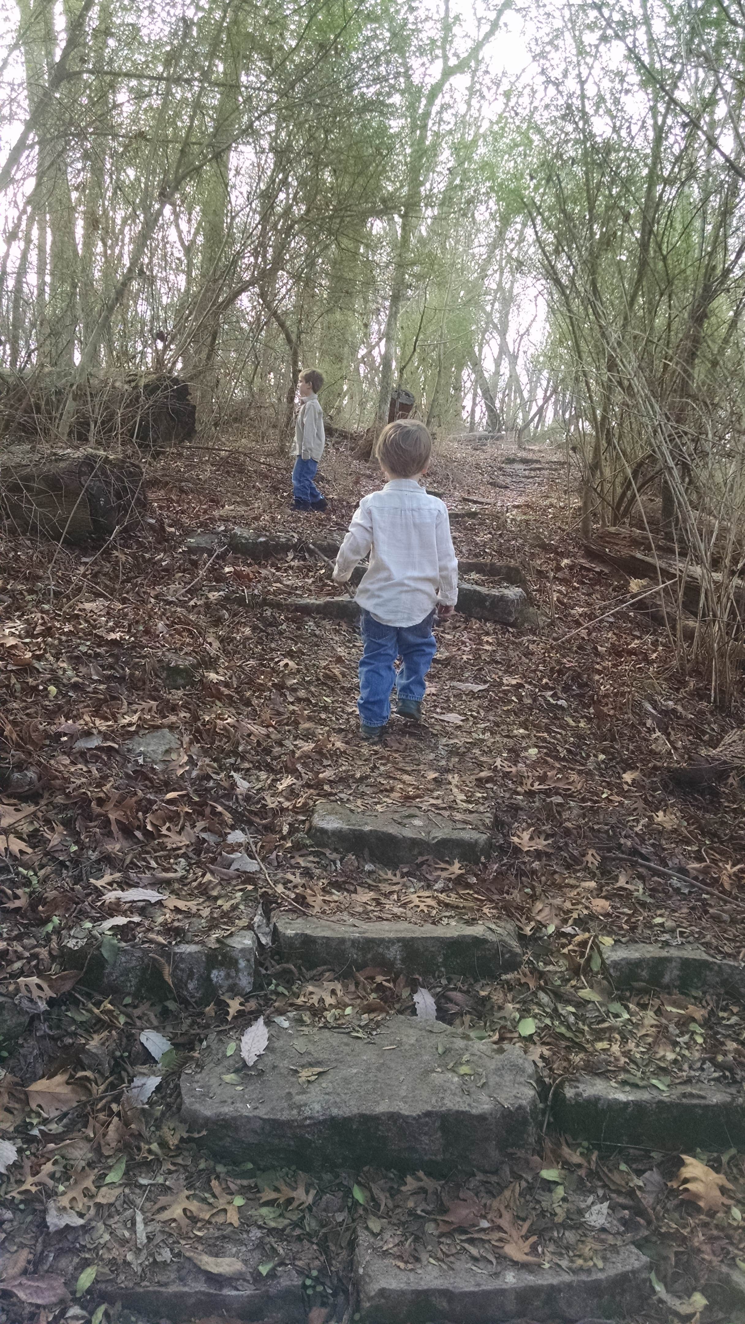 Camper-submitted photo at TVA-Nature Trail and Recreation Area near Cherokee, AL
