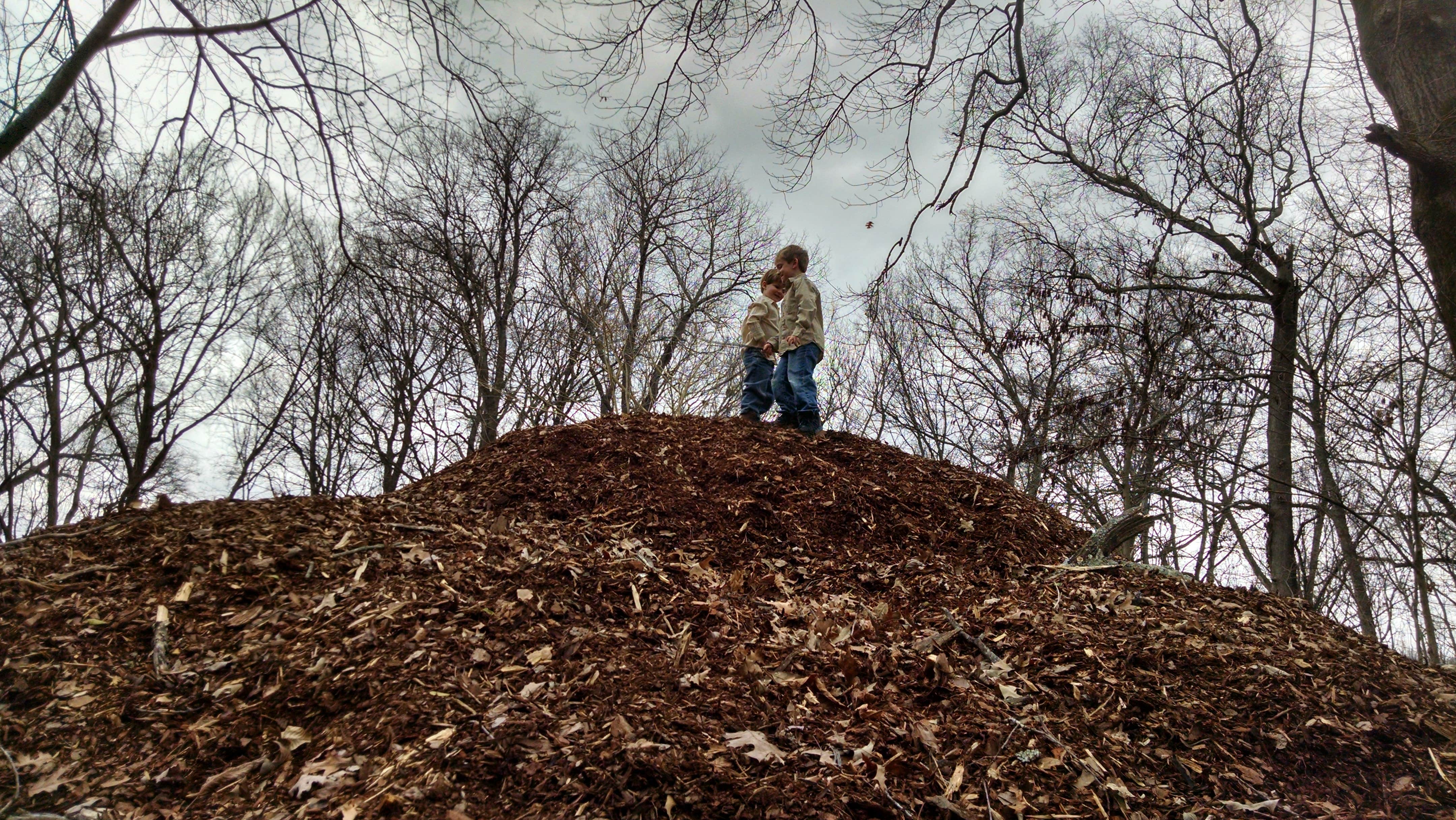 Camper-submitted photo at TVA-Nature Trail and Recreation Area near Cherokee, AL
