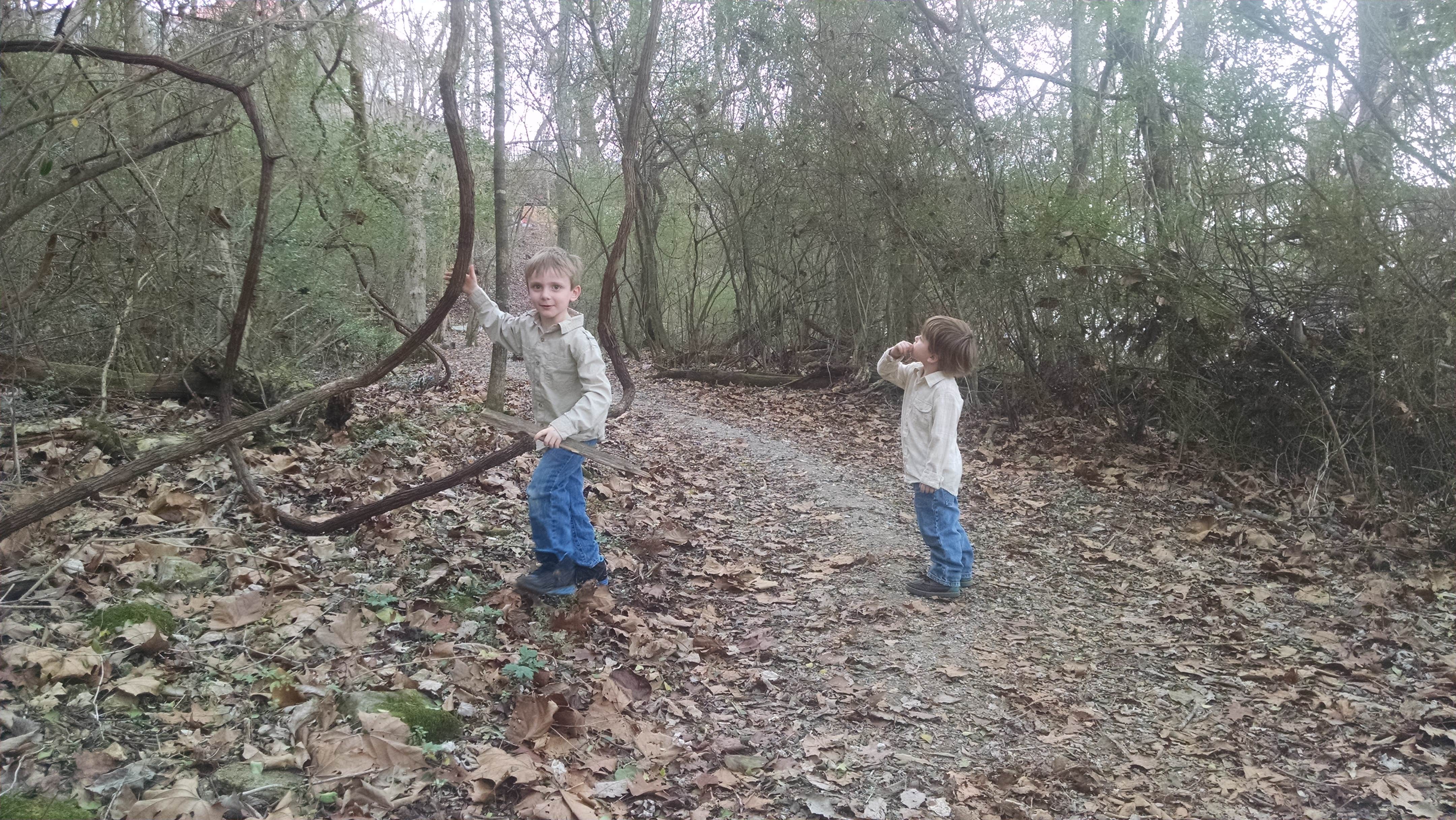 Camper-submitted photo at TVA-Nature Trail and Recreation Area near Cherokee, AL