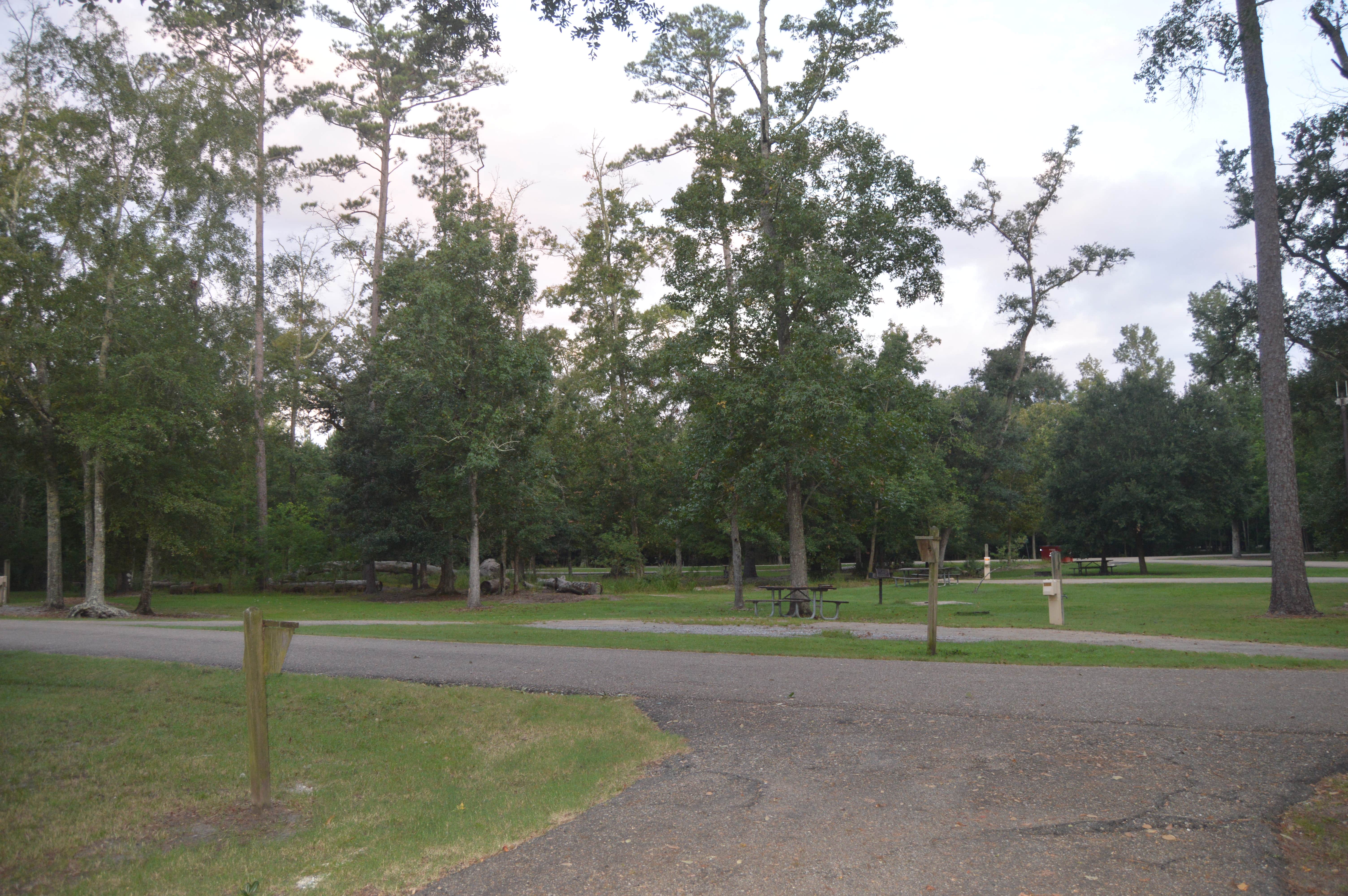 Camper submitted image from Fontainebleau State Park Campground - 4