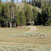 Review photo of Christina Lake Trailhead Dispersed Sites by Glen B., September 11, 2019