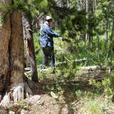 Review photo of Christina Lake Trailhead Dispersed Sites by Glen B., September 11, 2019