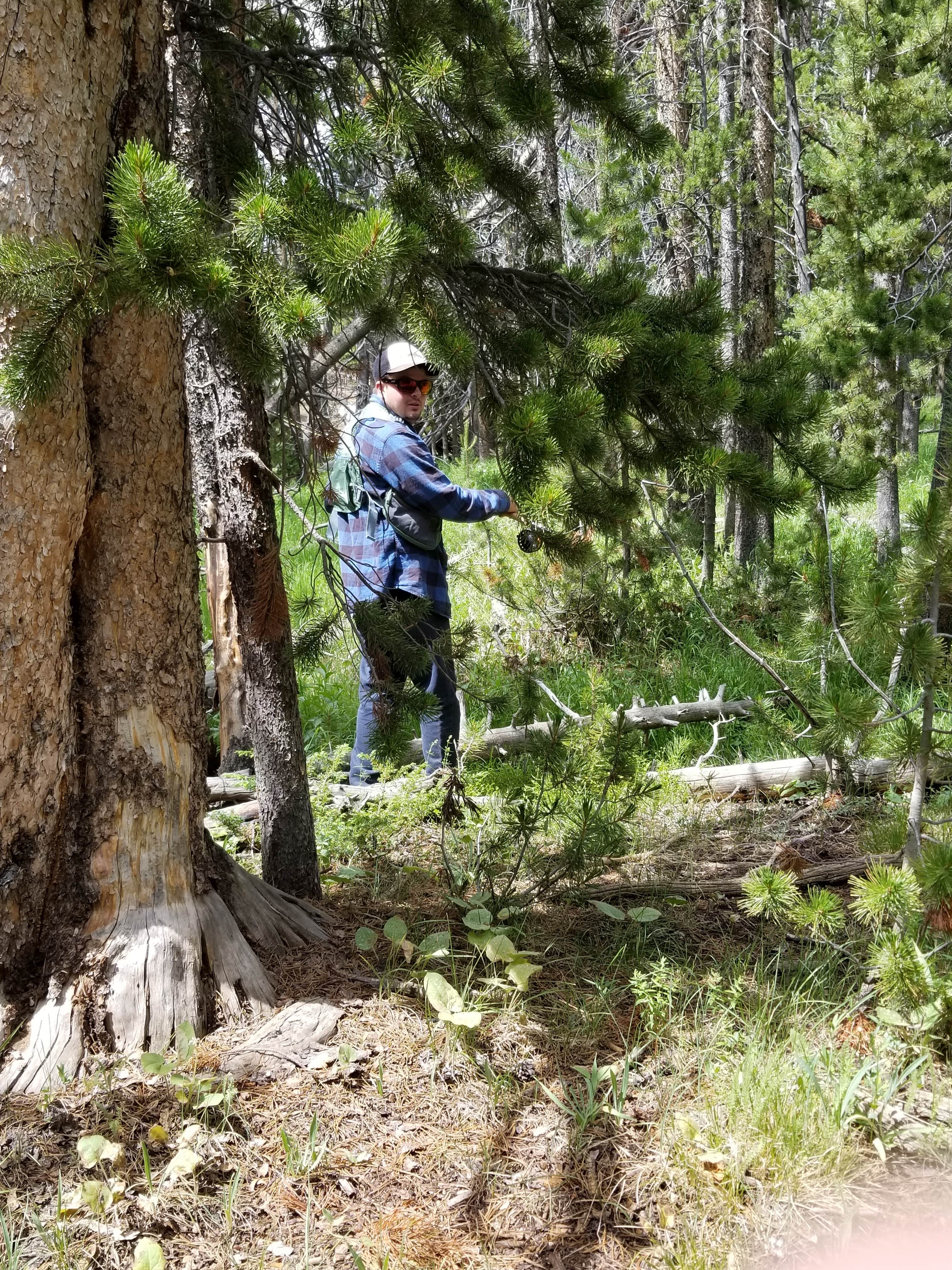 Camper submitted image from Christina Lake Trailhead Dispersed Sites - 3