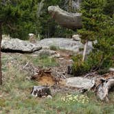 Review photo of Christina Lake Trailhead Dispersed Sites by Glen B., September 11, 2019