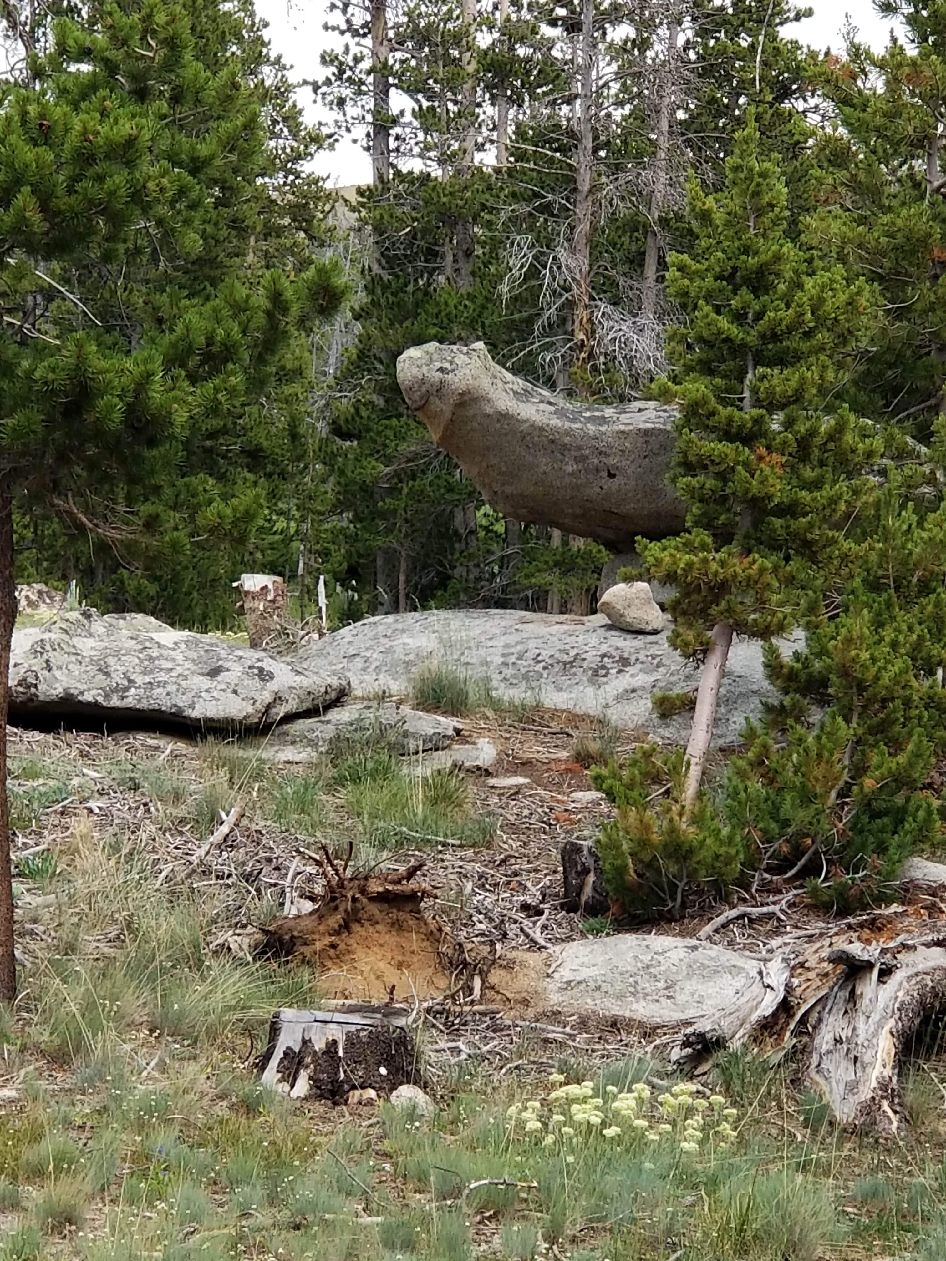 Camper submitted image from Christina Lake Trailhead Dispersed Sites - 1