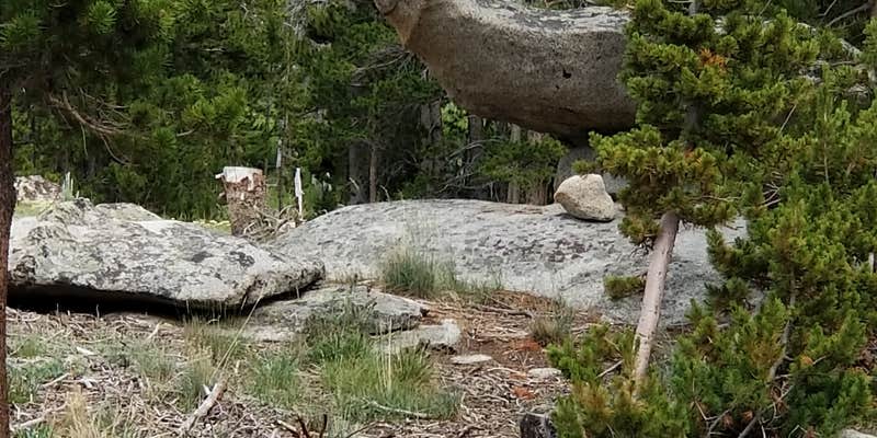 Camper submitted image from Christina Lake Trailhead Dispersed Sites