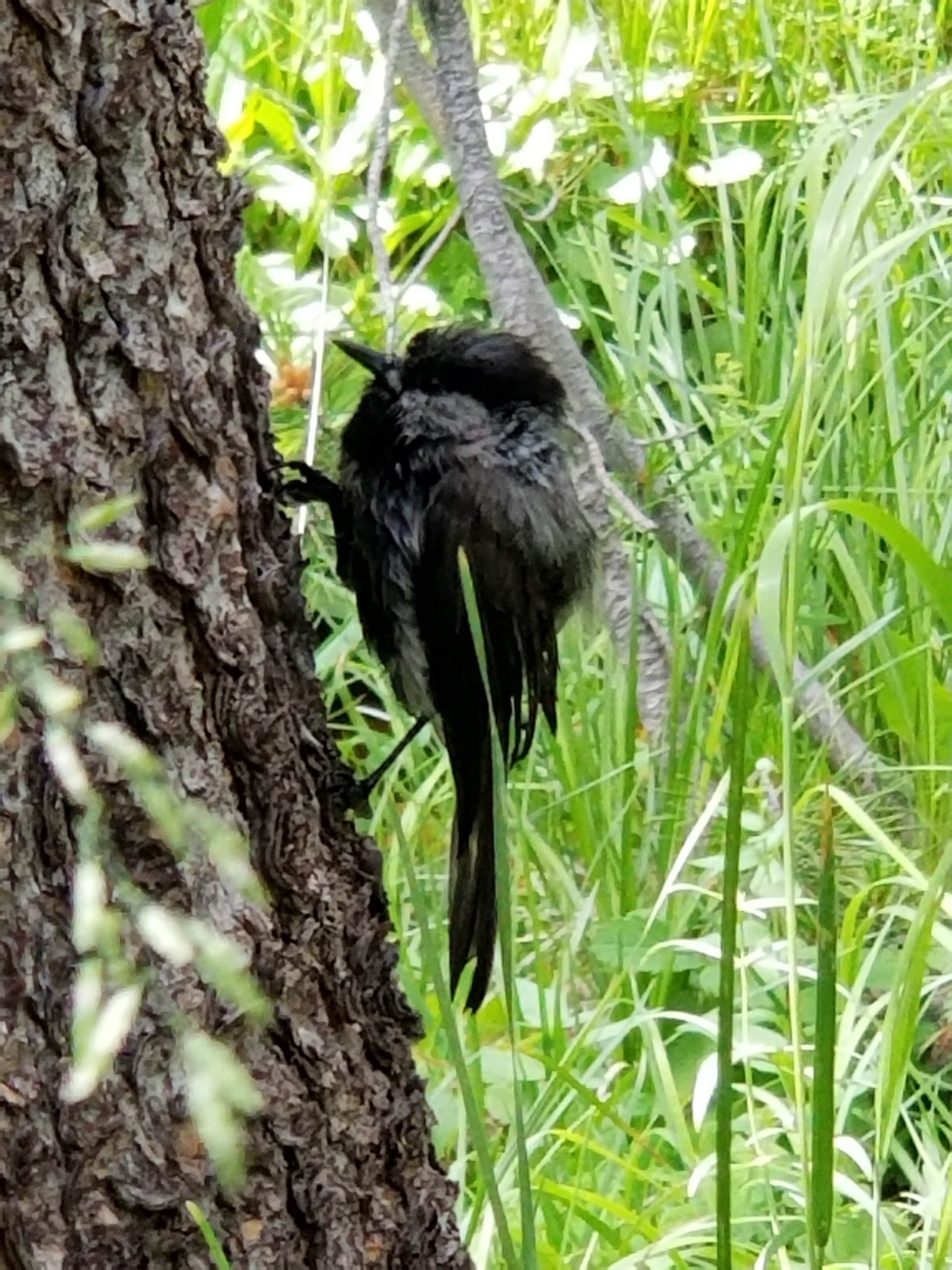 Camper-submitted photo at Christina Lake Trailhead Dispersed Sites near Farson, WY