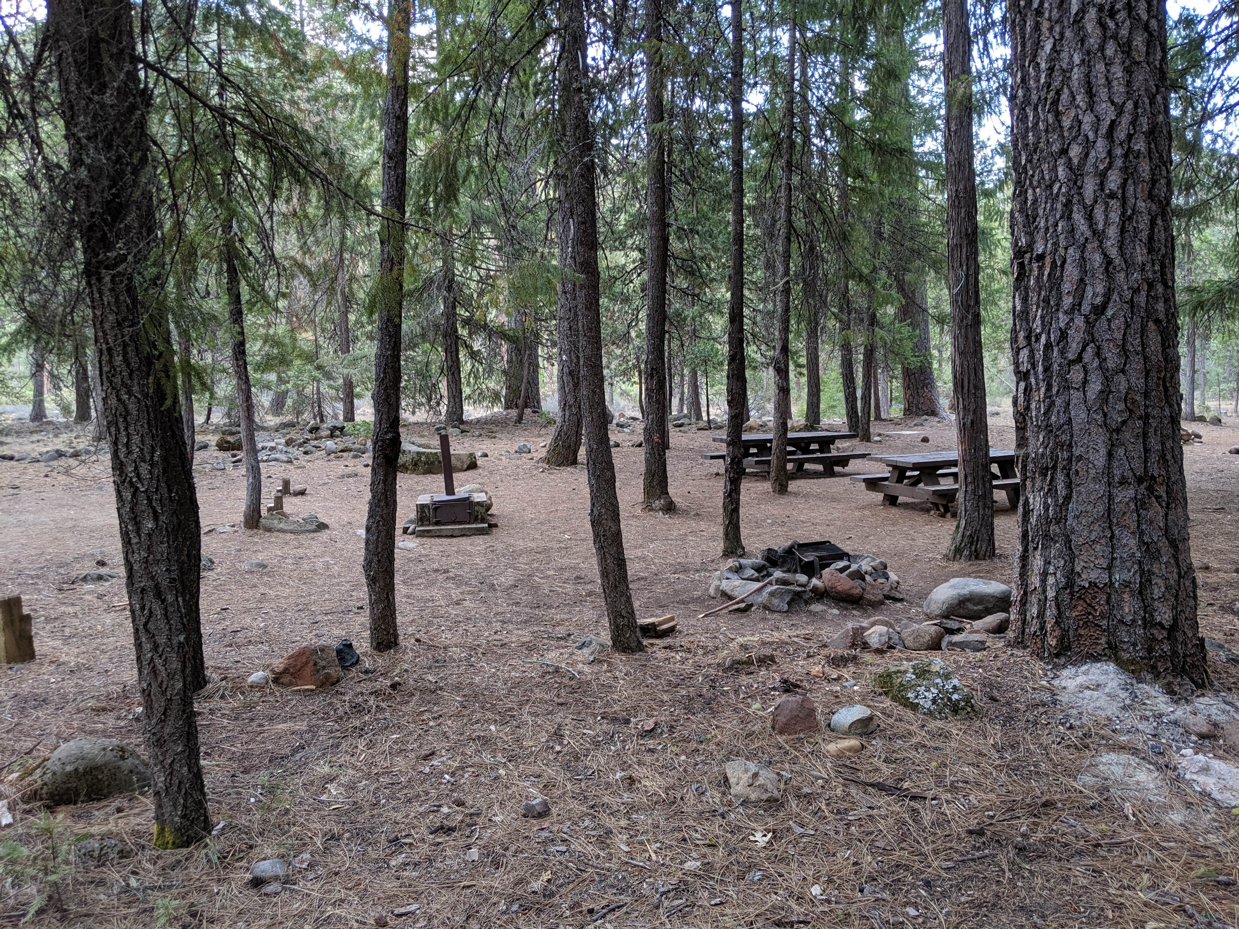 Camper submitted image from Eagle Creek (Ca) — Shasta Trinity National Forest - 5