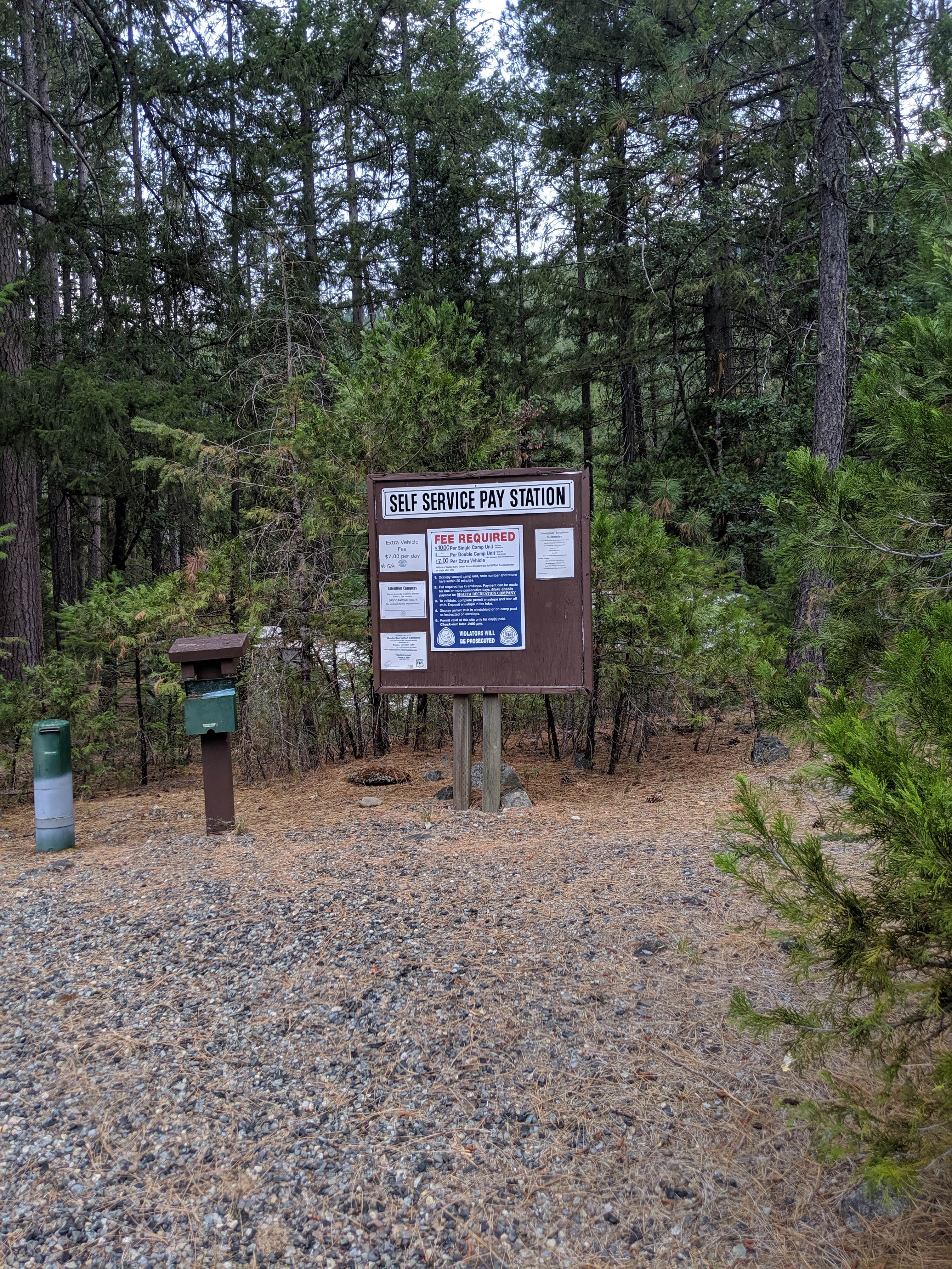 Camper submitted image from Trinity River (Ca) — Shasta Trinity National Forest - 4