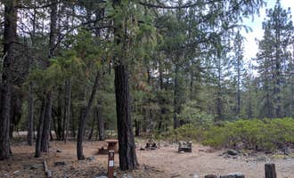 Camping near ROCK FARM RANCH: Trinity River Campground, Trinity Center, California