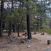 Review photo of Trinity River (Ca) — Shasta Trinity National Forest by Trip J., September 11, 2019