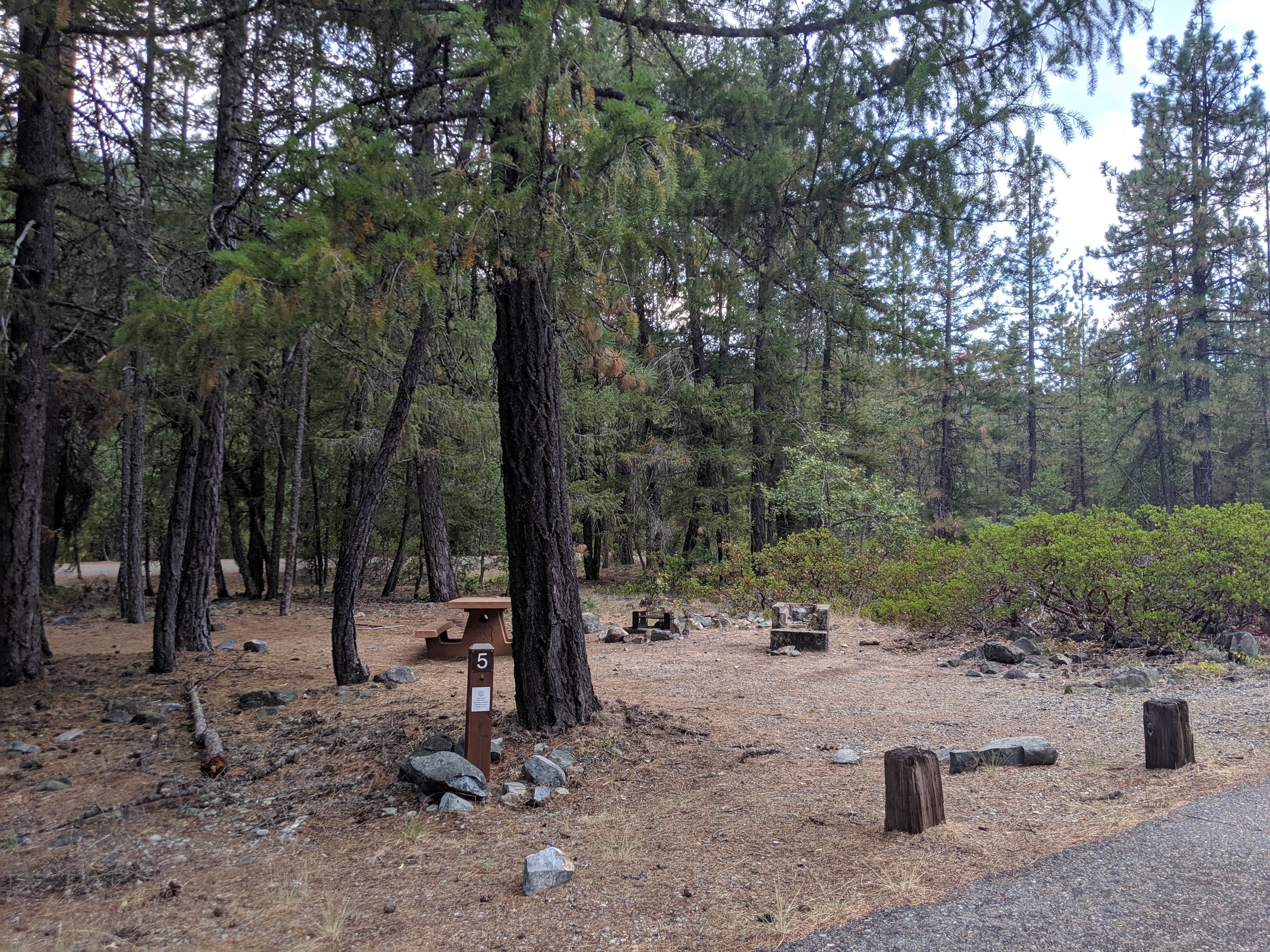 Camper submitted image from Trinity River (Ca) — Shasta Trinity National Forest - 2