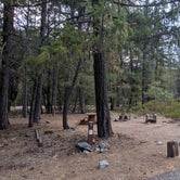 Review photo of Trinity River Campground by Trip J., September 11, 2019