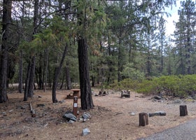 Trinity River Campground