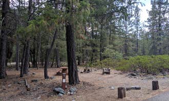 Camping near Ripple Creek Cabins: Trinity River Campground, Trinity Center, California