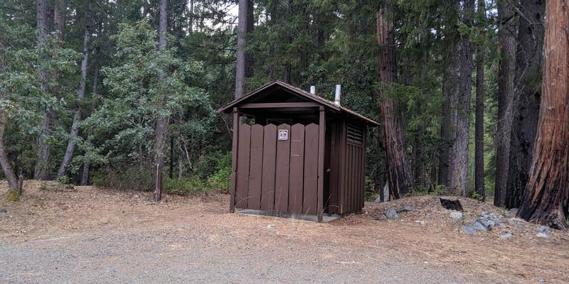 Camper submitted image from Trinity River (Ca) — Shasta Trinity National Forest