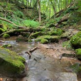 Review photo of Twin Valley Campground — Governor Dodge State Park by Mary M., September 11, 2019