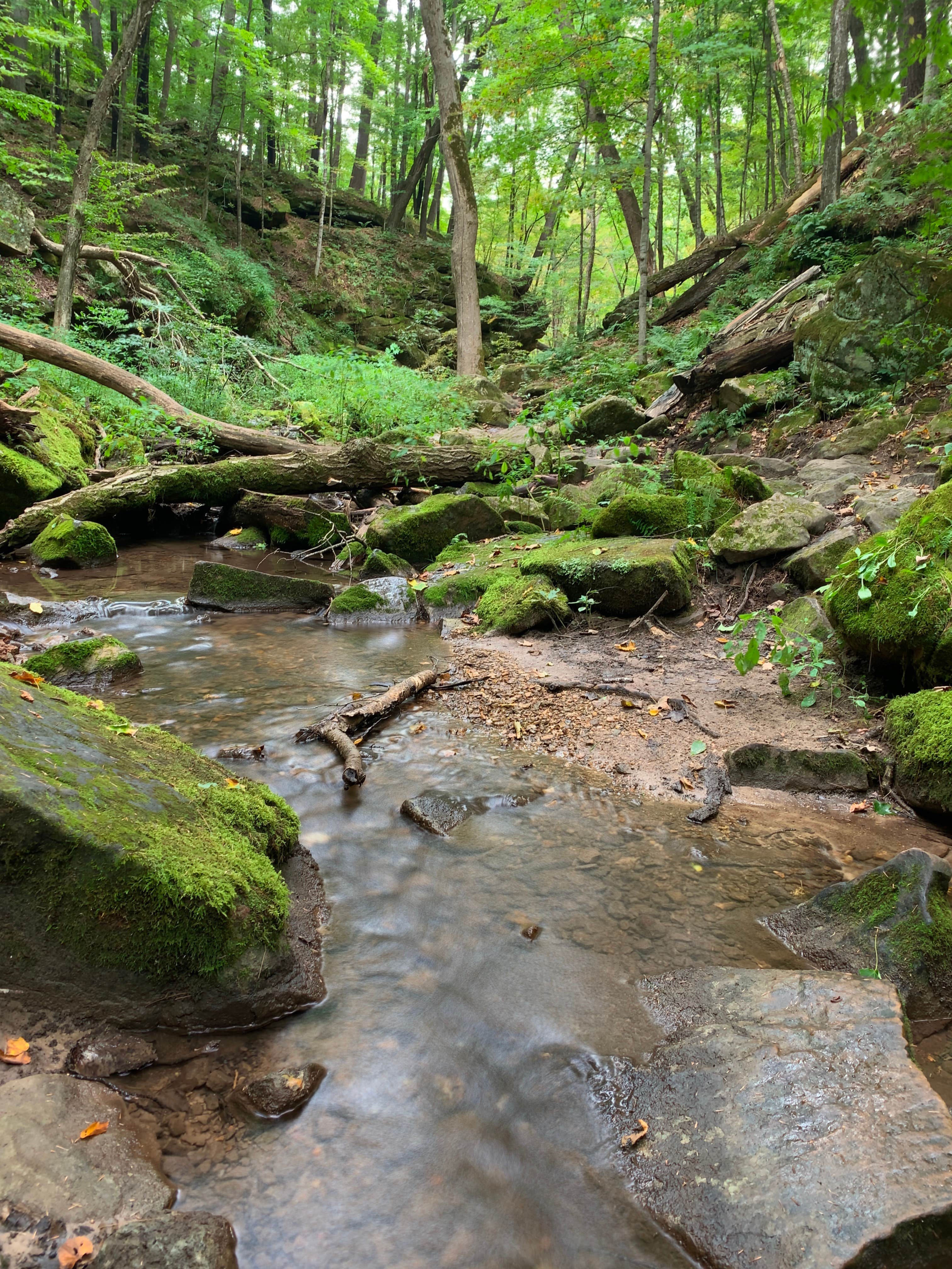 Camper submitted image from Twin Valley Campground — Governor Dodge State Park - 3