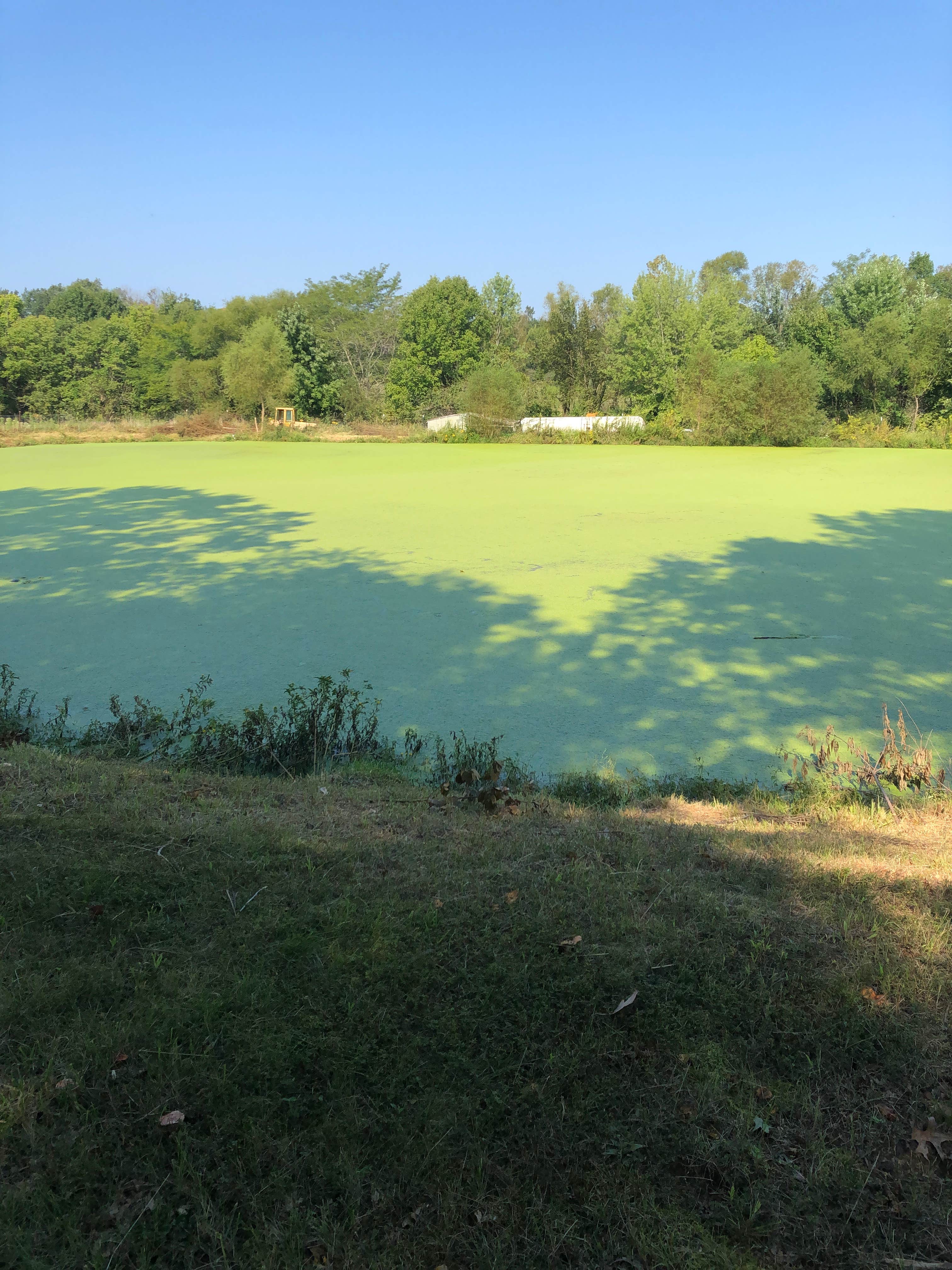 Camper-submitted photo at Jonesburg Gardens Campground near Wentzville, MO