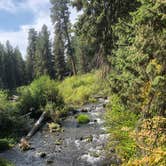 Review photo of South Shore Suttle Lake by Thomas B., September 11, 2019