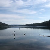Review photo of South Shore Suttle Lake by Thomas B., September 11, 2019