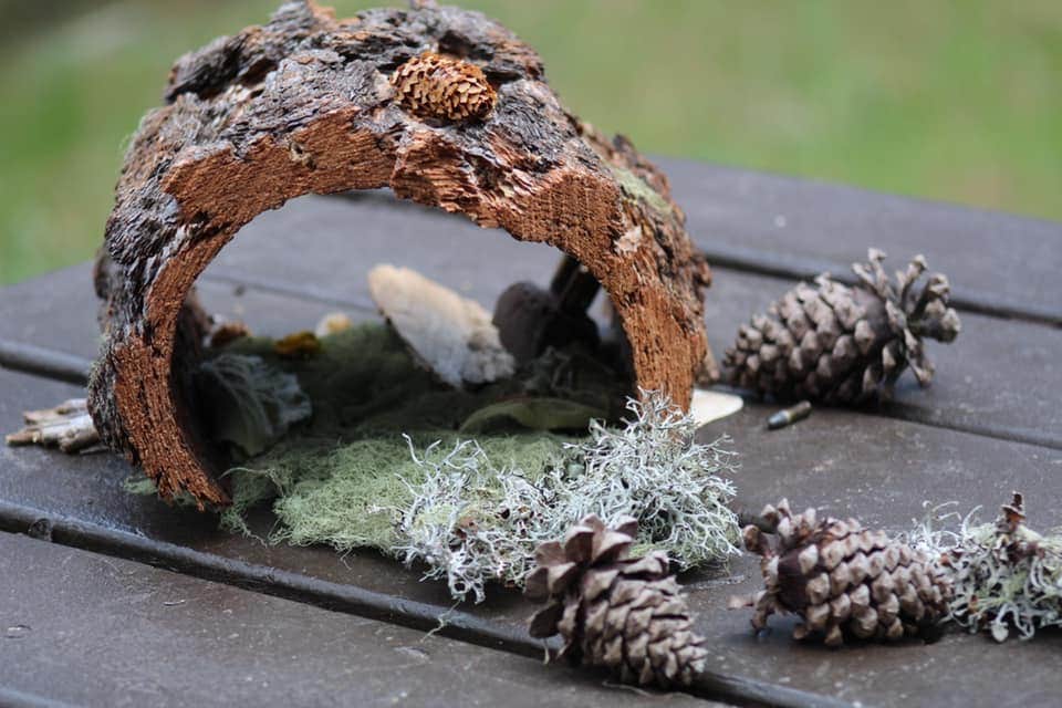 Camper-submitted photo at Rio De Las Vacas Campground near Cuba, NM