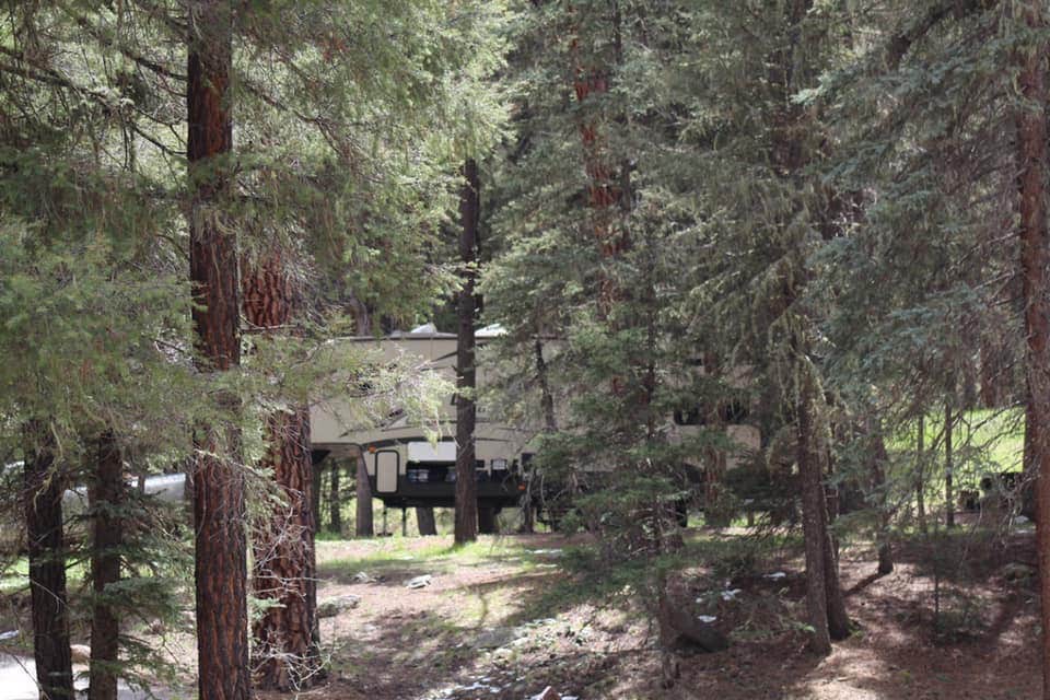 Camper submitted image from Rio De Las Vacas Campground - 5