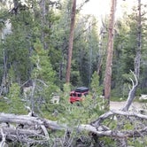 Review photo of Christina Lake Trailhead Dispersed Sites by Glen B., September 11, 2019