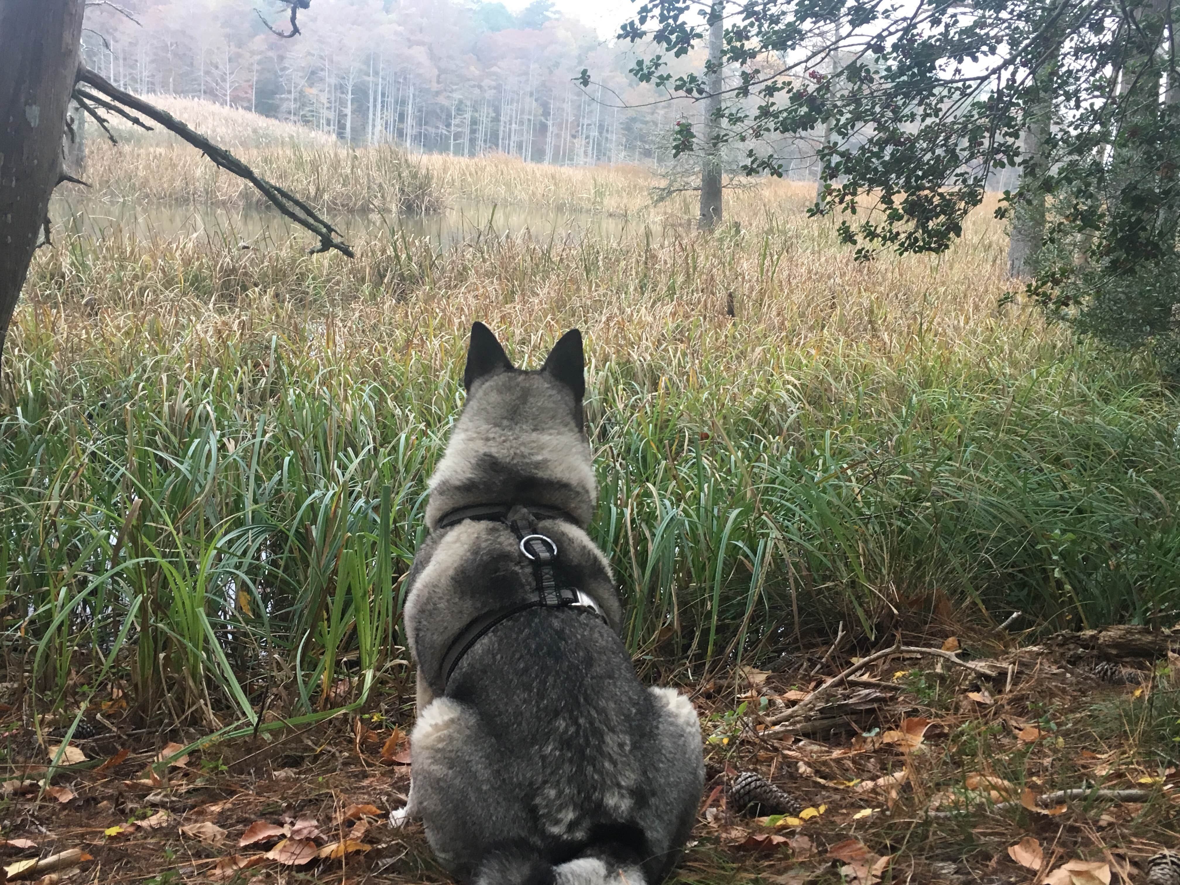 Nature