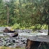 Review photo of Staircase Campground - Olympic National Park by Toni R., September 11, 2019