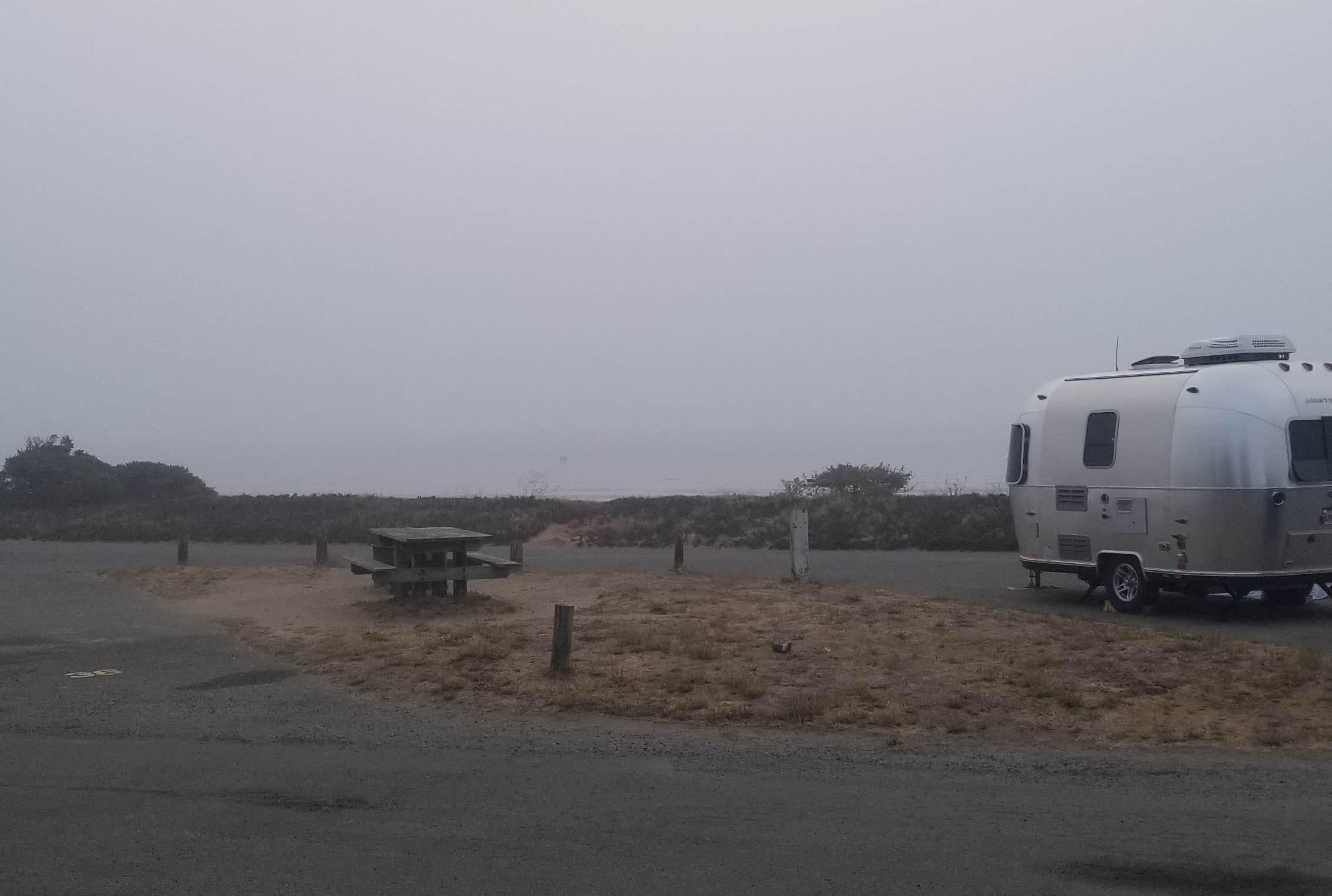Camper submitted image from Westside Regional Park - 2