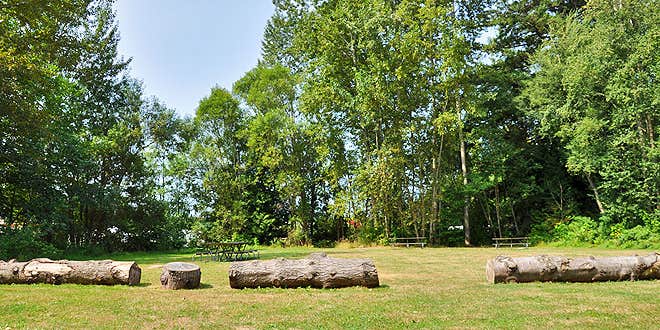 Camper submitted image from Thousand Trails Birch Bay