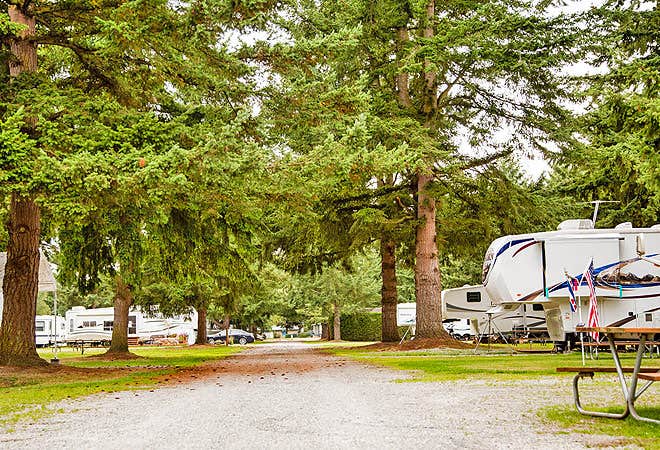 Camper submitted image from Thousand Trails Birch Bay - 4