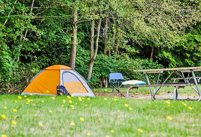 Camper submitted image from Thousand Trails Birch Bay - 5