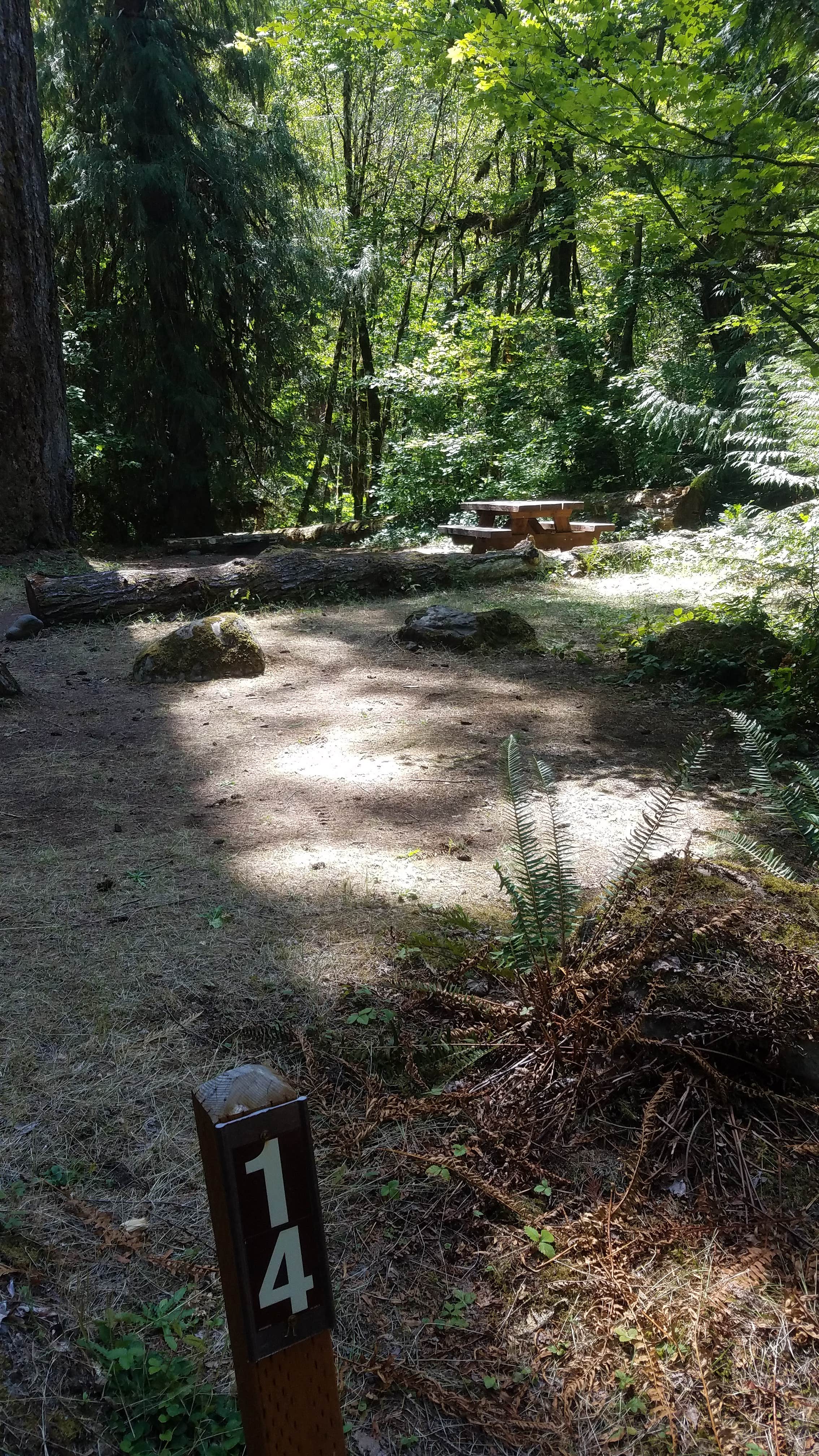 Camper submitted image from French Pete Campground - 5