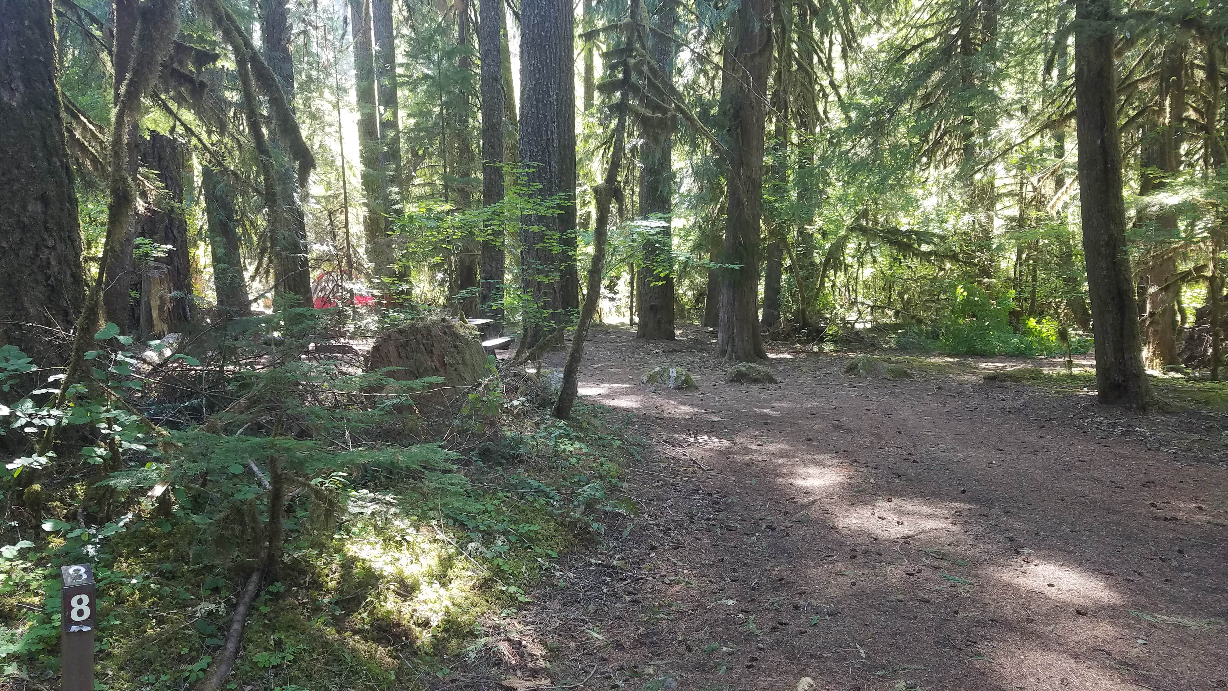 Camper submitted image from French Pete Campground - 4