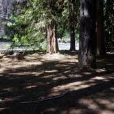 Review photo of French Pete Campground by Tj B., September 8, 2019