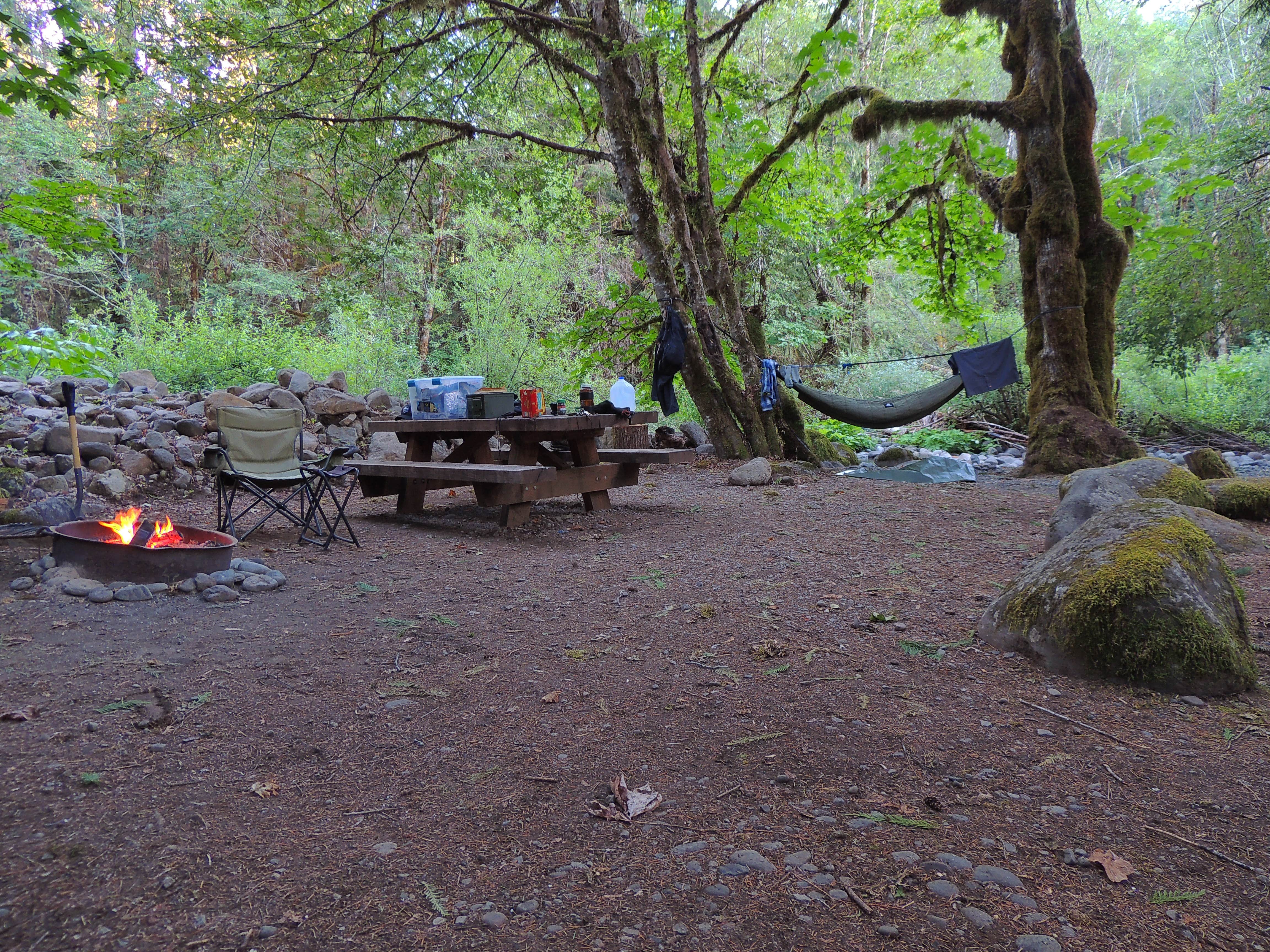 Tj B.'s photo at French Pete Campground near Vida, OR