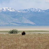 Review photo of Antelope Island State Park Campground by Krissy C., September 12, 2019